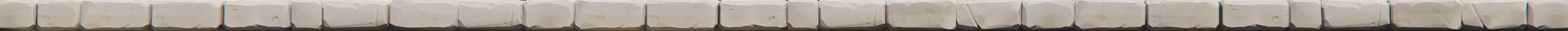 动物